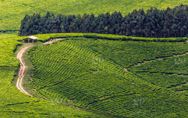 Burundi