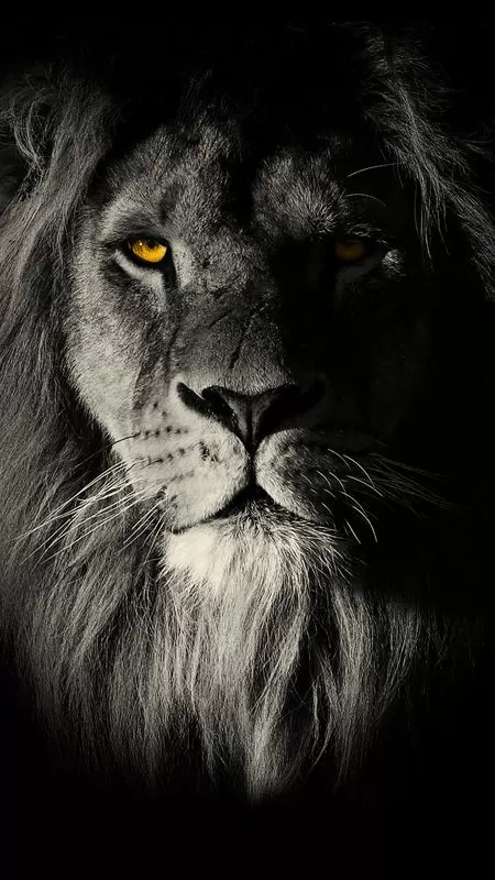 USER  1