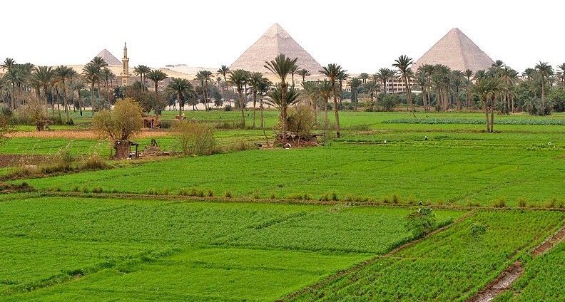 Do people own land in Egypt? | Discussions Egypt #2971 - 1  image 