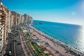 شقق للايجار بالاسكندرية -منطقة النخيل | دليل مصر #3078 - 1  صورة 
