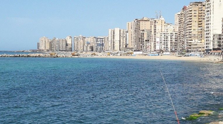 شقق للبيع بالاسكندرية - من المالك مباشرة | عقارات مصر #3378 - 1  صورة 