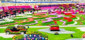 حديقة الزهور ألوان تسحر العين ورائحة تجذب القلوب | حديقة خارجية الإمارات العربية المتحدة #759 - 1  صورة 
