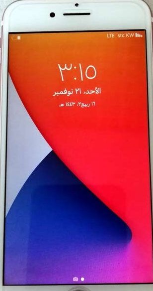 عناصر ملابس  في الكويت #1913 - 1  صورة 