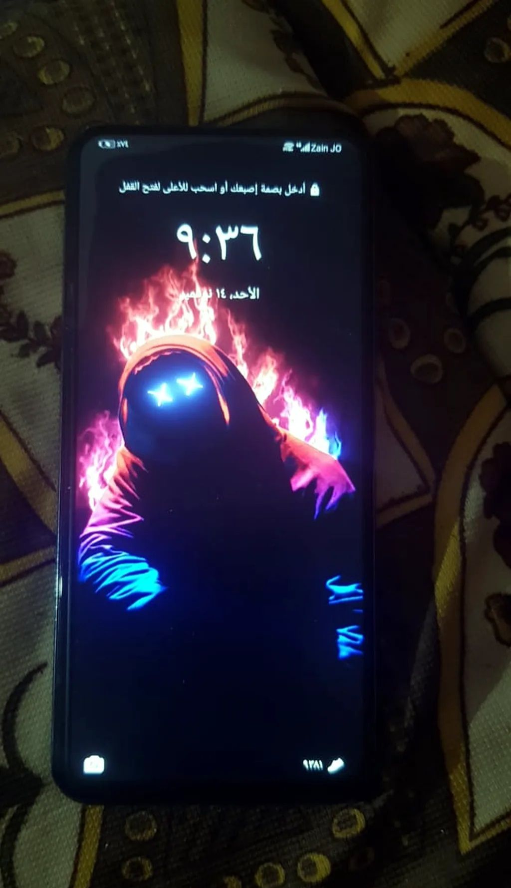 عناصر مستلزمات الحيوانات الأليفة  في عمان #2131 - 1  صورة 