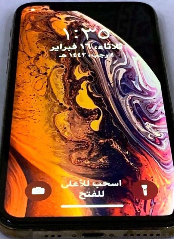 عناصر ملابس  في الكويت #2844 - 1  صورة 