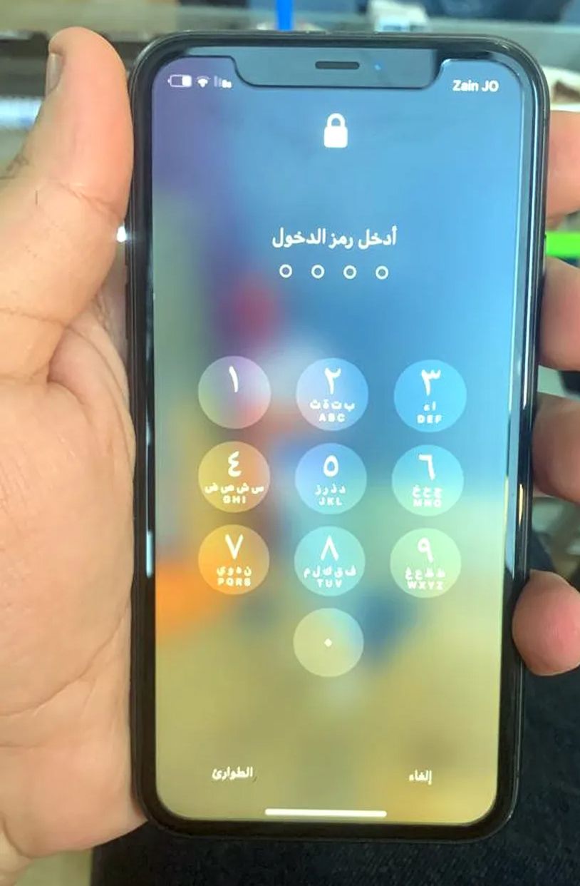 عناصر مستلزمات الحيوانات الأليفة  في عمان #3325 - 1  صورة 