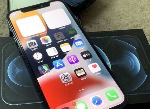 عناصر ملابس  في الكويت #3804 - 1  صورة 