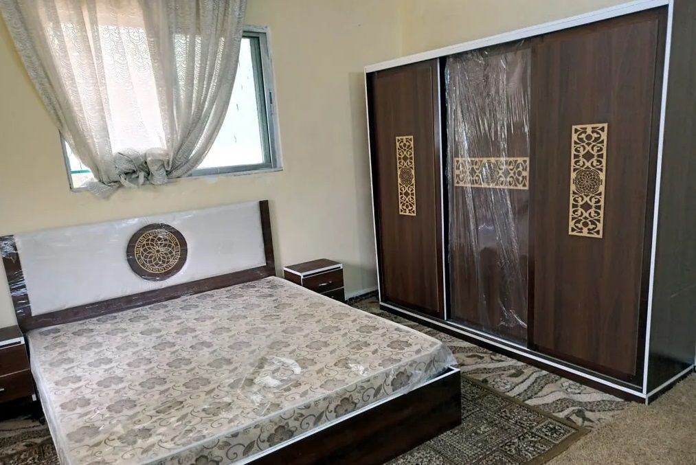 عناصر ألعاب القط  في عمان #4032 - 1  صورة 