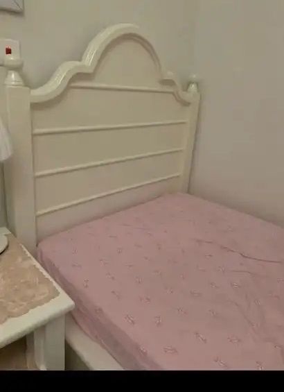 عناصر ألعاب القط  في الرياض #961 - 1  صورة 