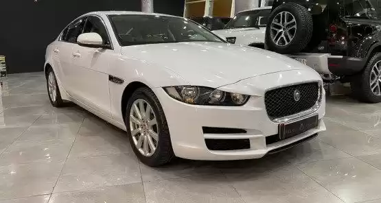Used Jaguar Unspecified For Sale in Doha #10174 - 1  image 