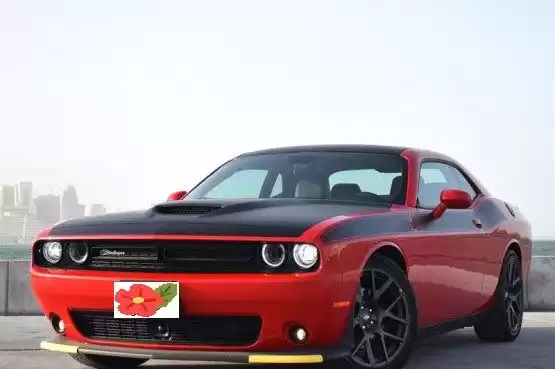 استفاده شده Dodge Challenger برای فروش که در دوحه #10199 - 1  image 