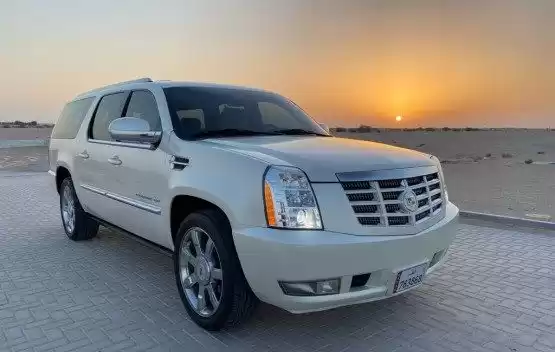 استفاده شده Cadillac Escalade برای فروش که در دوحه #10282 - 1  image 