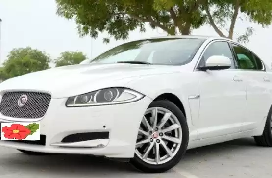 مستعملة Jaguar XF للبيع في الدوحة #10312 - 1  صورة 