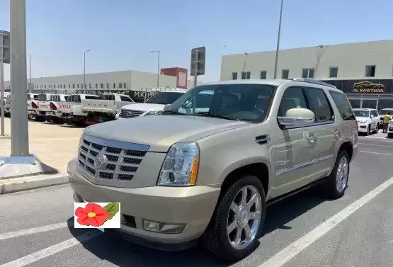 استفاده شده Cadillac Escalade برای فروش که در دوحه #10472 - 1  image 