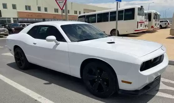 استفاده شده Dodge Charger برای فروش که در دوحه #10478 - 1  image 