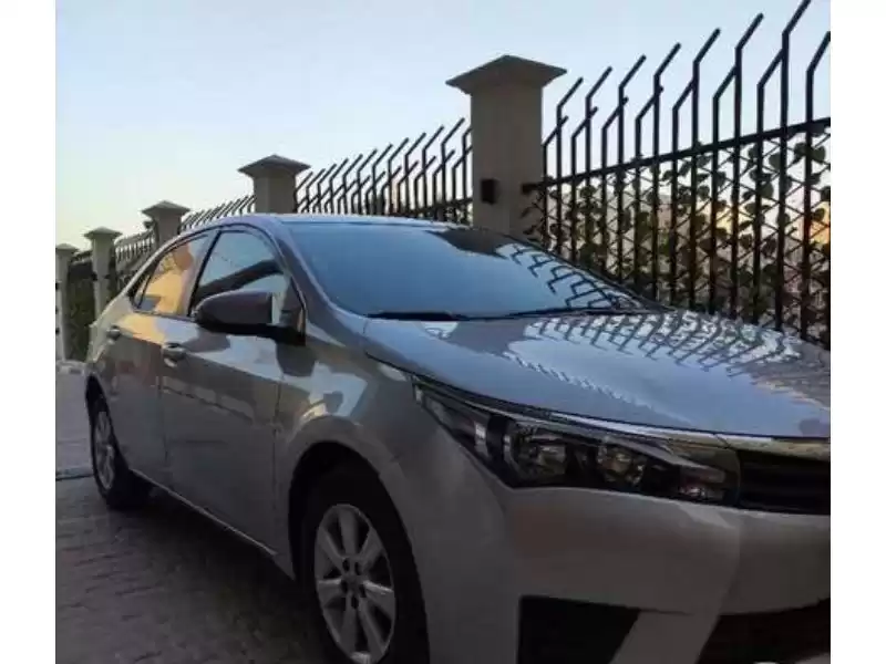 استفاده شده Toyota Corolla برای فروش که در دوحه #10760 - 1  image 
