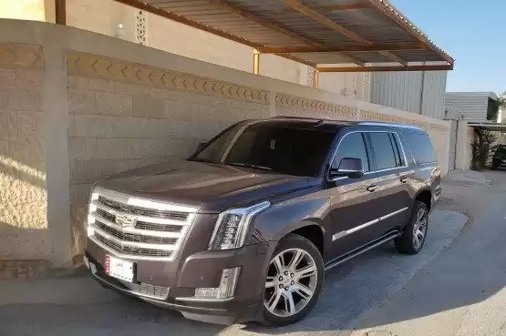 استفاده شده Cadillac Escalade برای فروش که در السد , دوحه #10768 - 1  image 