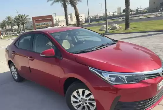 استفاده شده Toyota Corolla برای فروش که در دوحه #11053 - 1  image 