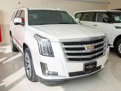 Использовал Cadillac Unspecified Продается в Аль-Садд , Доха #11091 - 1  image 