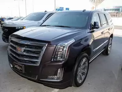 استفاده شده Cadillac Unspecified برای فروش که در دوحه #11107 - 1  image 