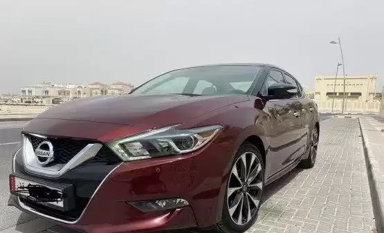 مستعملة Nissan Maxima للبيع في السد , الدوحة #11223 - 1  صورة 