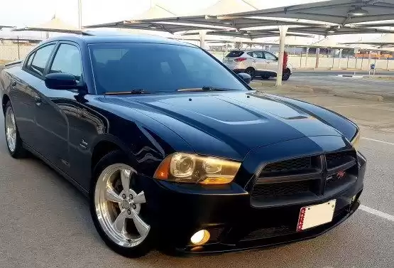 استفاده شده Dodge Charger برای فروش که در دوحه #11733 - 1  image 