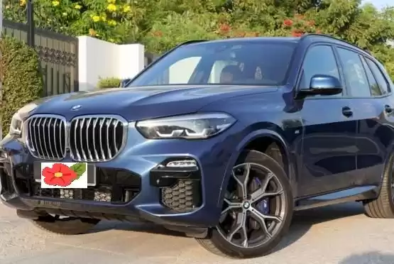 استفاده شده BMW X5 برای فروش که در دوحه #12135 - 1  image 