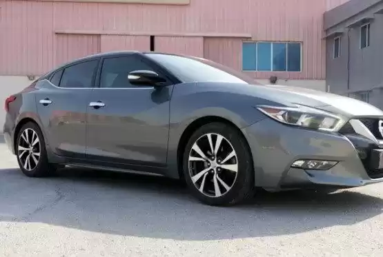 مستعملة Nissan Maxima للبيع في الدوحة #12838 - 1  صورة 