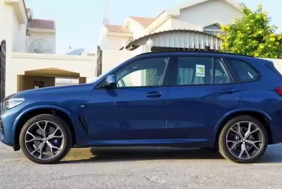 استفاده شده BMW X5 برای فروش که در دوحه #12840 - 1  image 