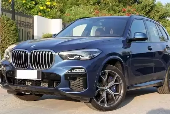 مستعملة BMW X5 للبيع في الدوحة #12844 - 1  صورة 