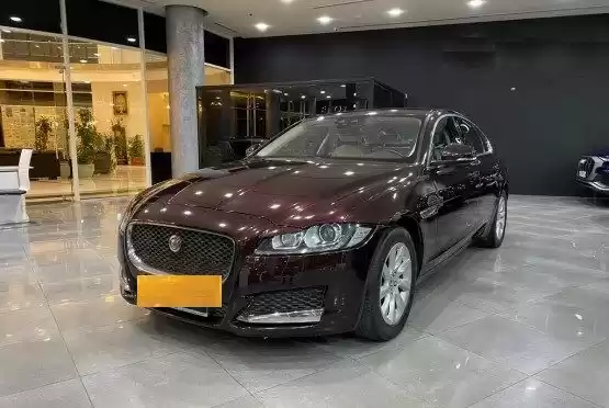 استفاده شده Jaguar XF برای فروش که در دوحه #12846 - 1  image 