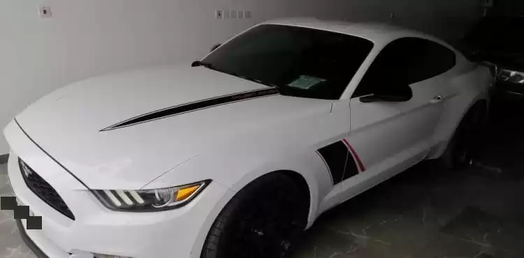 استفاده شده Ford Mustang برای فروش که در دوحه #12900 - 1  image 