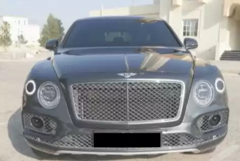 مستعملة Bentley Bentayga SUV للبيع في الدوحة #13491 - 1  صورة 