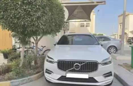 مستعملة Volvo XC60 للبيع في السد , الدوحة #13689 - 1  صورة 