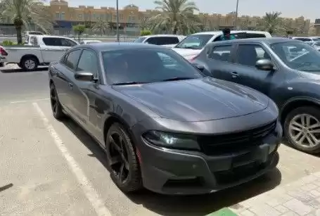 استفاده شده Dodge Charger برای فروش که در دوحه #13848 - 1  image 