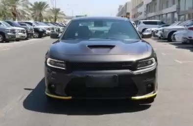 کاملا نو Dodge Charger برای فروش که در السد , دوحه #13849 - 1  image 