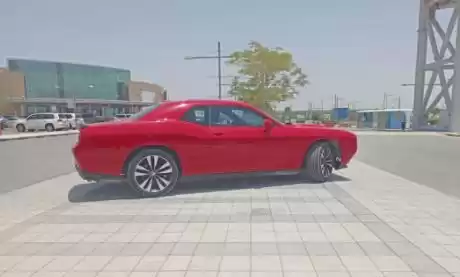 Used Dodge Challenger For Sale in Al Sadd , Doha #13881 - 1  image 