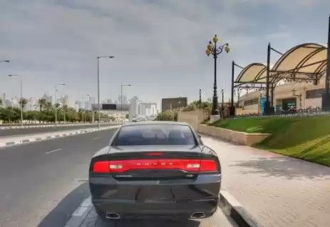 استفاده شده Dodge Charger برای فروش که در السد , دوحه #13884 - 1  image 