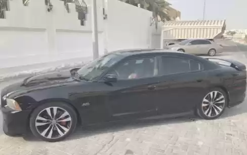 استفاده شده Dodge Charger برای فروش که در دوحه #13887 - 1  image 