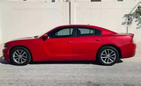 Использовал Dodge Charger Продается в Аль-Садд , Доха #13888 - 1  image 