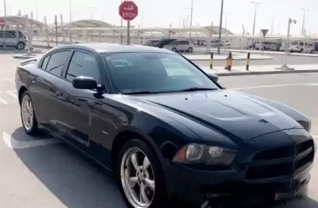 استفاده شده Dodge Charger برای فروش که در دوحه #13908 - 1  image 