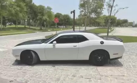 مستعملة Dodge Challenger للبيع في السد , الدوحة #13920 - 1  صورة 