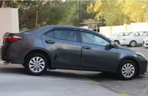 استفاده شده Toyota Corolla برای فروش که در السد , دوحه #14081 - 1  image 