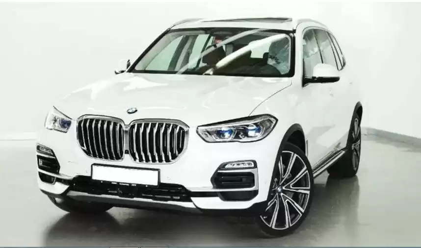 Использовал BMW X5 SUV Продается в Дубай #14515 - 1  image 