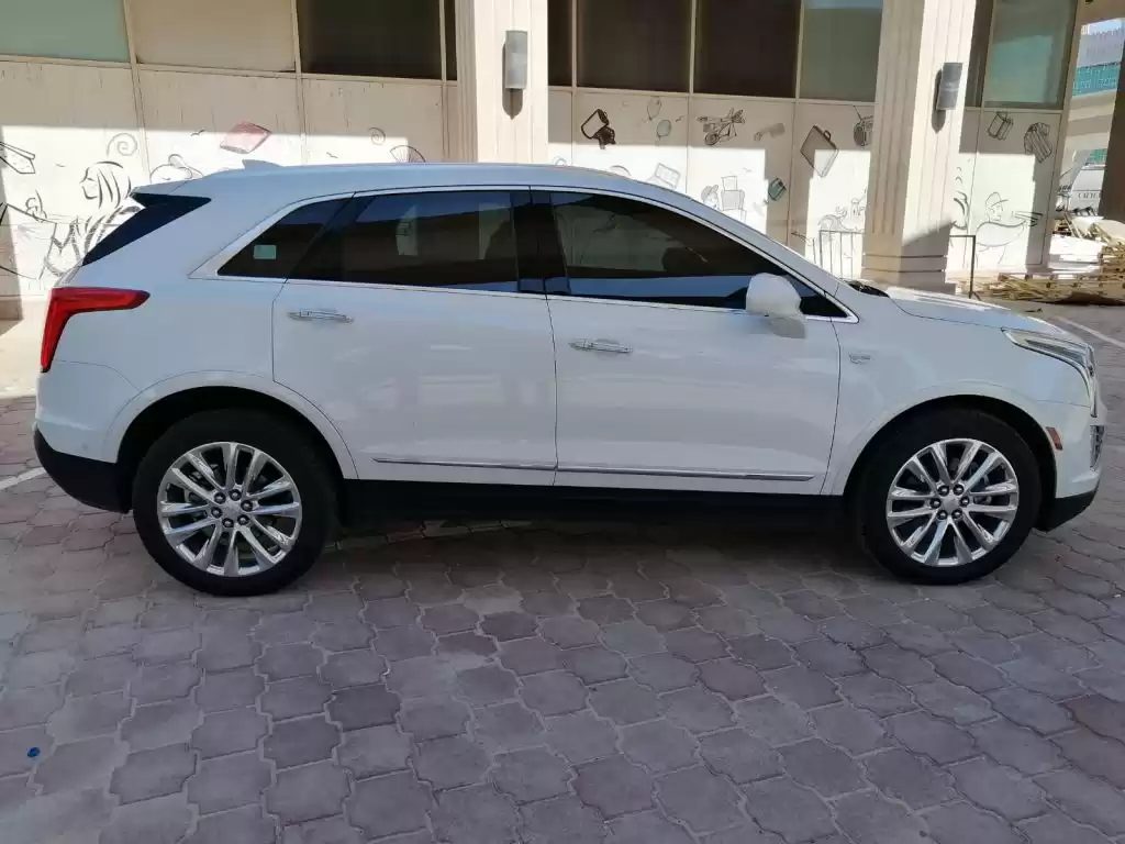 استفاده شده Cadillac XT5 برای فروش که در کویت #15420 - 1  image 