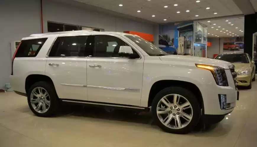 Использовал Cadillac Escalade Продается в Эр-Рияд #16174 - 1  image 
