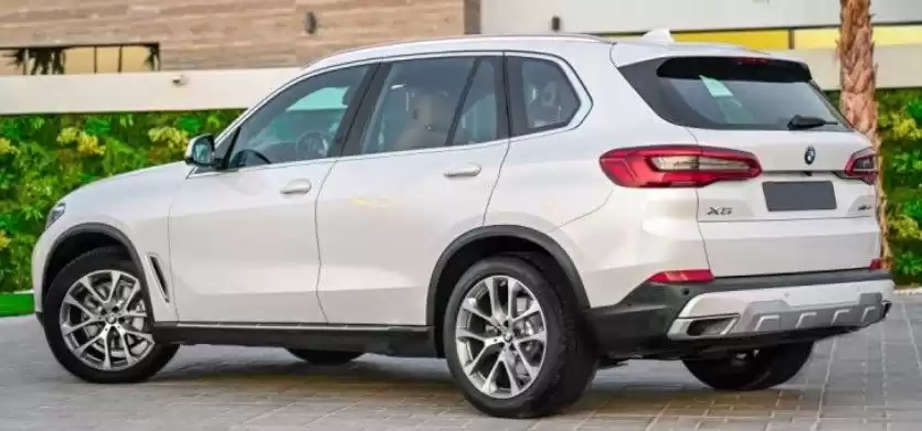 Использовал BMW X5 SUV Продается в Дубай #17455 - 1  image 