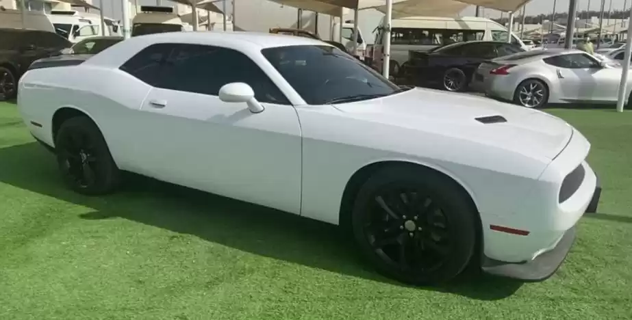 مستعملة Dodge Challenger للبيع في دبي #17717 - 1  صورة 
