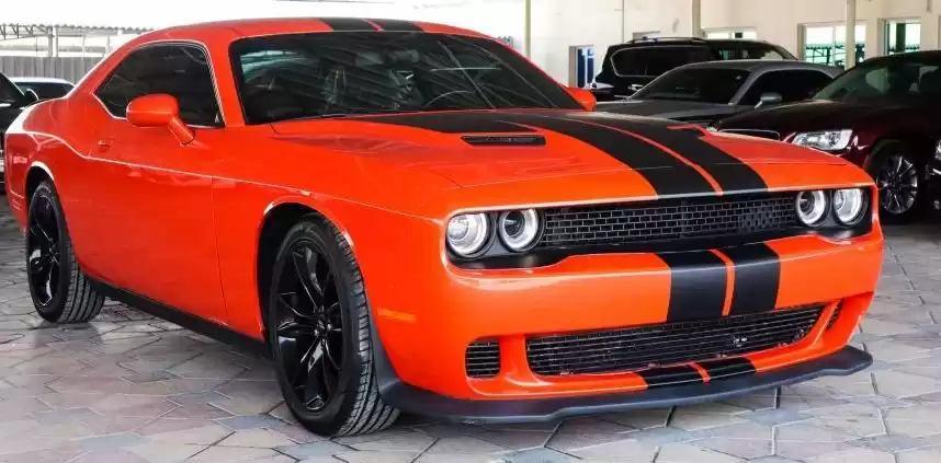 استفاده شده Dodge Challenger برای فروش که در دبی #17736 - 1  image 