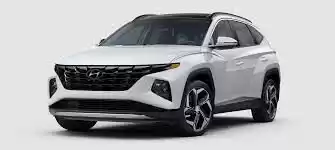 Used Hyundai Tucson For Rent in Riyadh #20695 - 1  image 